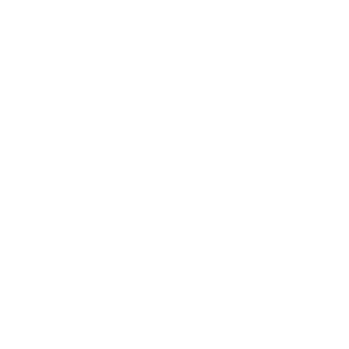 software personalizado